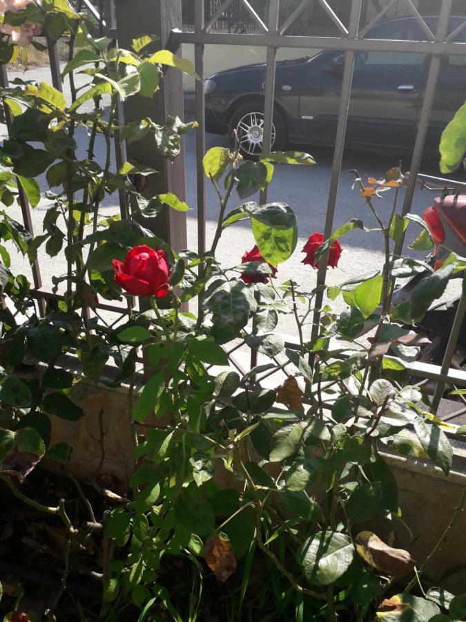فيلا Roses Skála Kallirákhis المظهر الخارجي الصورة